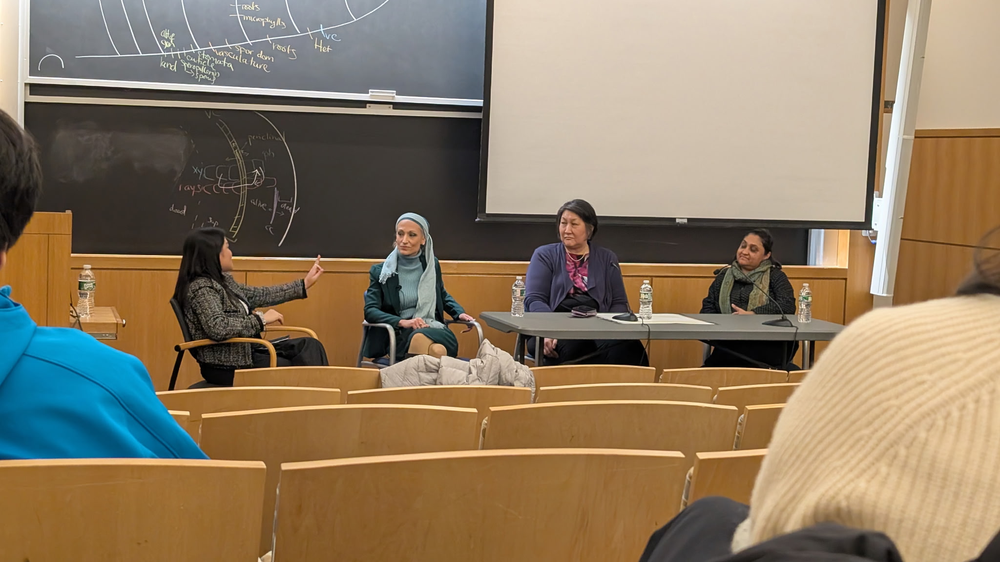 Women in a career panel sitting down