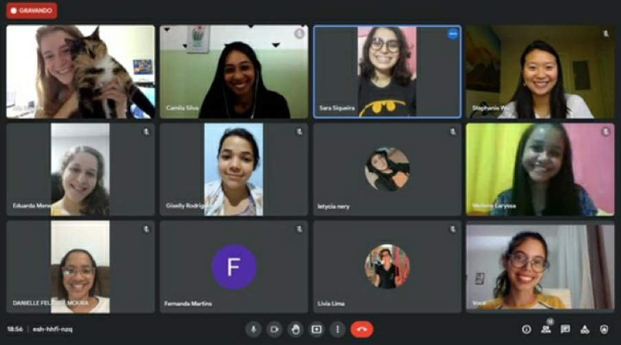 HGWISE participants interacting with participants from Programa Futuras Cientistas for a live session over Google Meetup